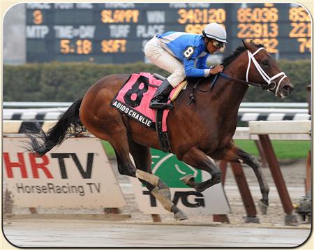 Adios Charlie - Brilliant GSW Miler by Indian Charlie